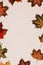 Autumn composition. Forest materials on white background. October flat lay, rustic style. Top view, copy space. Floral design