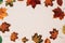 Autumn composition. Forest materials on white background. October flat lay, rustic style. Top view, copy space. Floral design