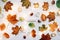 Autumn composition. Forest materials on white background. October flat lay, rustic style. Top view, copy space. Floral design