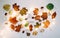 Autumn composition. Forest materials on white background. October flat lay, rustic style. Top view, copy space. Floral design