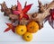 An autumn composition of gourd pumpkins, red leaves and a branch