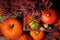 Autumn composition with orange pumpkins and heather.