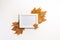 Autumn composition. Photo frame, maple leaves, on white background