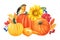 Autumn composition, pumpkins, flowers, sunflowers, dahlia, yellow leaves, berries, birds, white background, watercolor