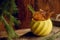 Autumn composition with small red apples, dried pomegranate in vintage planter, branches of larch in clay pot, vase on metal plate