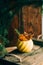 Autumn composition with small red apples, dried pomegranate in vintage planter, branches of larch in clay pot, vase on metal plate