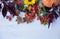 Autumn composition. Still life. Dried leaves, pumpkins, flowers and rowan berries on blue background. Autumn, fall, halloween