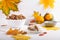 Autumn composition with walnuts , pumpkins, delicious apple strudel  and colorful fall leaves on white background. Copy space.