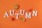 Autumn composition. Word Autumn from white letters and bright autumn leaves herbarium on orange paper background. Concept Hello