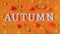 Autumn composition. Word Autumn from white letters and flickering bright autumn leaves herbarium on orange paper background. Conce
