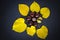 Autumn composition of yellow leaves and chestnuts arranged in a circle isolated on a black background