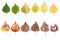Autumn concept, age changes of leaves, aging stages, the birth death, drying