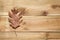 Autumn concept: death leaf rest on a wooden table