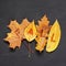 Autumn concept. Fallen yellow leaves from maple, poplar, oak and willow trees with inscription FALL on blackboard background.