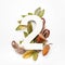 Autumn concept. Number two shape with autumn leaves, acorns and fearhers. Nature concept. Flat lay. Top view