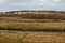 Autumn contryside landscape