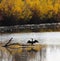 Autumn cormorant drying wings on submerged branch