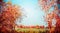 Autumn country landscape with trees , foliage and field. Fall nature