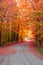 Autumn country road surrounded by colorful fall foliage.