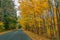 Autumn Country Road toDingmans Falls waterfall in the Poconos Mountains , Pennsylvania US.