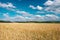 Autumn countryside andscape wheat field blue sky