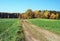 Autumn countryside with meadow, trail, colorful forest and clear sky