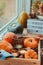 Autumn cozy mood composition on the windowsill. Pumpkins, cones, candles on wooden tray, blurred Fall mood message on