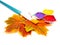 Autumn crafts with colorful leaves isolated