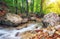 Autumn creek woods with yellow trees foliage and rocks in forest