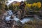 Autumn in Crystal Mill Colorado Landscape