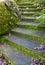 Autumn Curved Concrete Steps