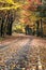 Autumn curved road