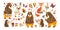 Autumn cute animal set. Colorful autumn characters - bear, fox, deer, hedgehog, bird. Vector illustration.