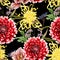 Autumn dahlia, chrysanthemum flowers, herbs and berries seamless pattern. Black background.