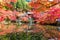 Autumn at daigoji temple