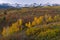 Autumn Dallas Divide Colorado