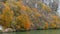 Autumn at the Danube Gorges and Decebal king`s Head sculpted in rock