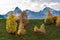 Autumn in Davos Grisons Switzerland, yellow coloured trees