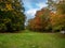 Autumn day cloudy sky and trees wiew