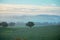 Autumn day dawns with fog in the Andalusian cattle pasture of Spain