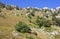 autumn day in the forest, mountainous terrain with dried vegetation, panorama of the area