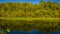 Autumn deciduous forest and river on a sunny day. Amazing landscape