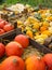 Autumn Decor Pumpkins in Crates