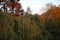 Autumn decoration of a city Park with a lantern and trees.