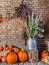 Autumn decoration in front of a brick wall consisting of different sized pumpkins, a milk can with plants
