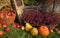 Autumn decoration with pumpkins, heather, apples and straw
