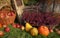 Autumn decoration, pumpkins, squash, heather flowers and wicker basket with apples