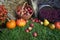 Autumn decoration, red and green apples in a wicker basket on straw, pumpkins, squash, heather flowers and chrysanthemum flowers