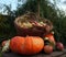 Autumn decoration, red and green apples in a wicker basket on straw, pumpkins, winter squash