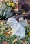 Autumn decoration on the tomb with white angel.